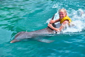 Action swim with dolphins